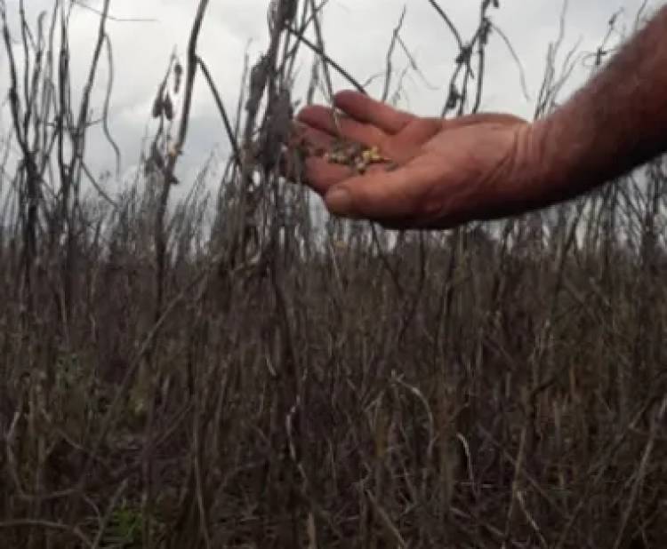PEDIDO DEL CAMPO: "HOY MÁS QUE NUNCA NECESITAMOS MEDIDAS DIFERENCIADAS"