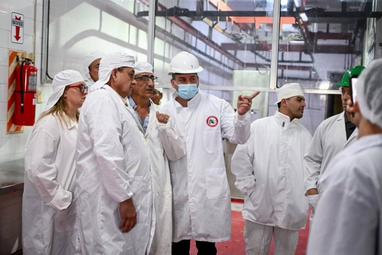 HISTÓRICA PRIMERA EXPORTACIÓN DE OVINOS CHAQUEÑOS CON DESTINO A OMÁN (ASIA)