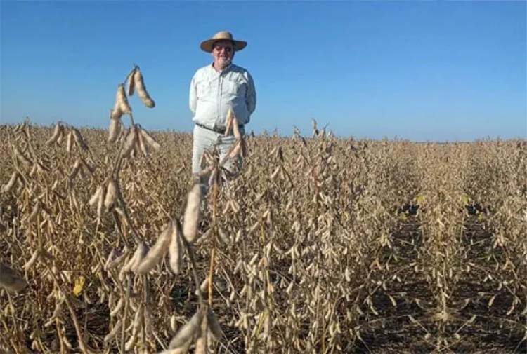 "TENEMOS MÁS PRODUCCIÓN, PERO TENEMOS MENOS PRODUCTORES", ADVIERTEN