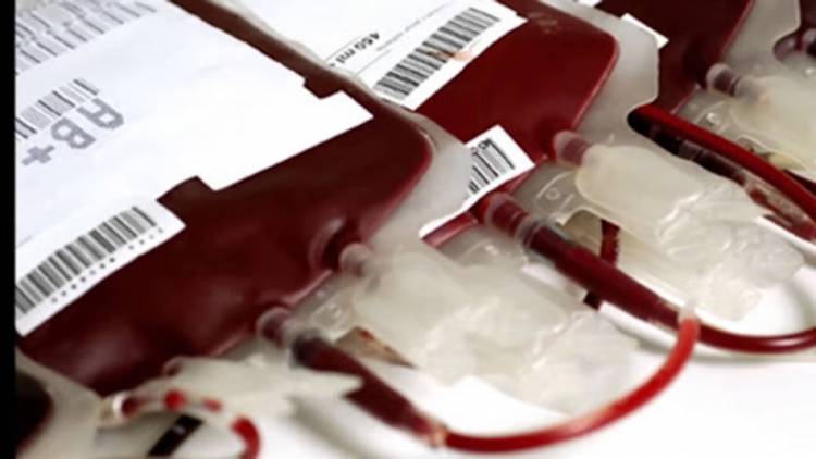 LA MODERNIZACIÓN DEL SISTEMA NACIONAL DE SANGRE MEJORA LA EXPERIENCIA DE QUIENES DONAN