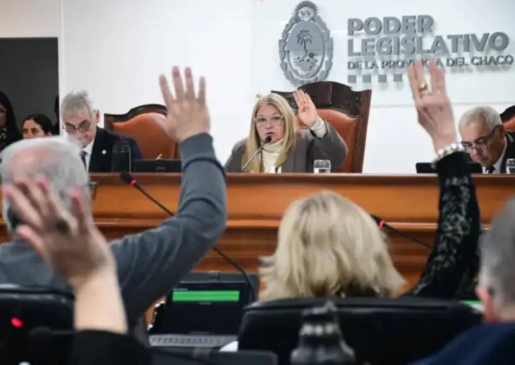PENAS MÁS DURAS POR MALTRATO ANIMAL Y CREACIÓN DE UN REGISTRO DE MÉDICOS EN LA PROVINCIA
