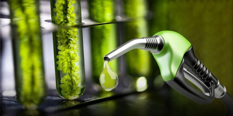 IMPACTO EN LOS SURTIDORES: ENERGÍA AUTORIZÓ SUBAS DE HASTA 4% EN LOS BIOCOMBUSTIBLES
